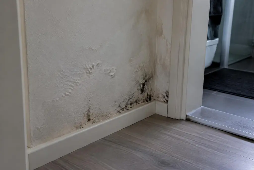 Lekdetectie Harmelen – vochtplek met schimmel op een muur